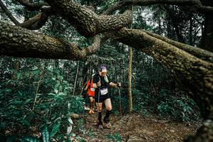 BIB: 
                            <button type="button" onclick="openModal(25705385)" class="btn btn-primary btn-sm float-right btn-popup" data-toggle="modal" data-target=".modal-high-quality">
                        <i class="fas fa-shopping-cart"></i> Add to Cart
                    </button>
                                            <button type="button" onclick="isThisMe(25705385, true)" class="btn btn-success btn-sm float-right btn-popup btn-isme hidden" data-toggle="tooltip" data-placement="bottom" title="นี่คือรูปของคุณใช่ไหม คลิกที่นี่เพื่อเอาเข้าอัลบั้ม">
                        <i class="fas fa-plus"></i> Add to album
                    </button>
                    <button type="button" onclick="isThisMe(25705385, false)" class="btn btn-warning btn-sm float-right btn-popup btn-isnotme hidden">
                        <i class="fas fa-ban"></i> Remove from album
                    </button>